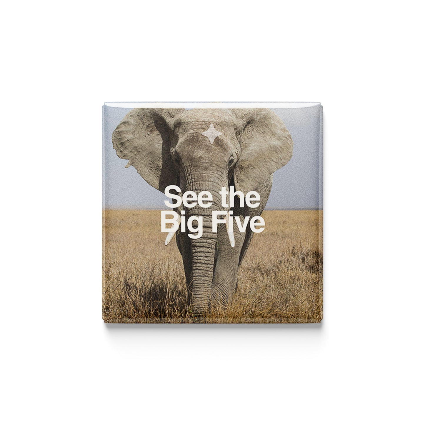 See the Big Five Magnet