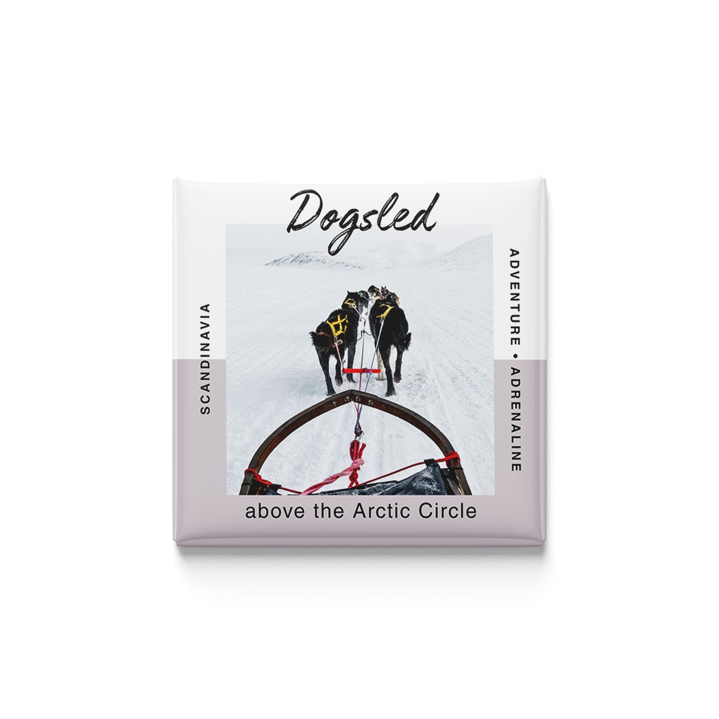 Dogsled Above the Arctic Circle Magnet