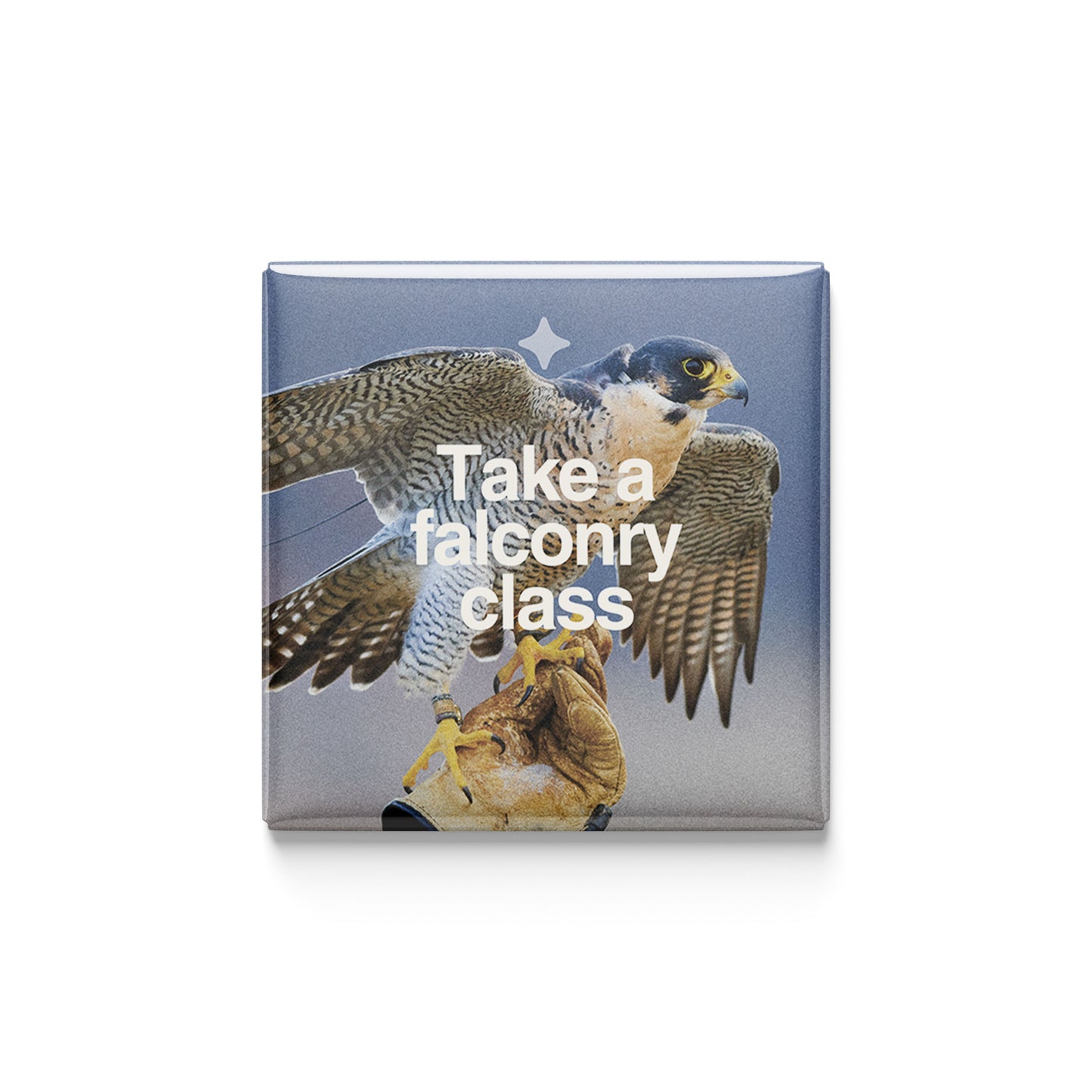 Take a Falconry Class Magnet