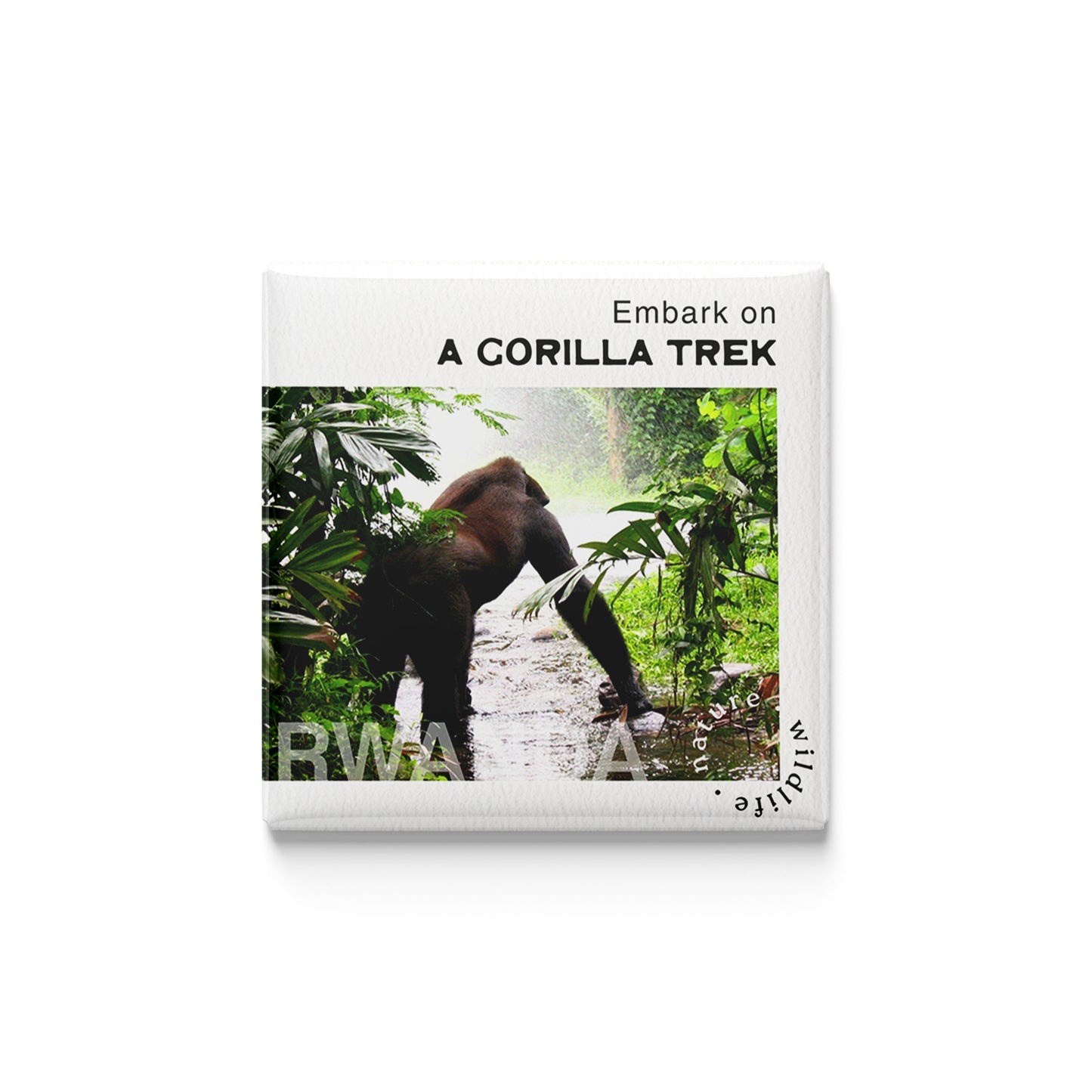 Gorilla Trek in Rwanda Magnet