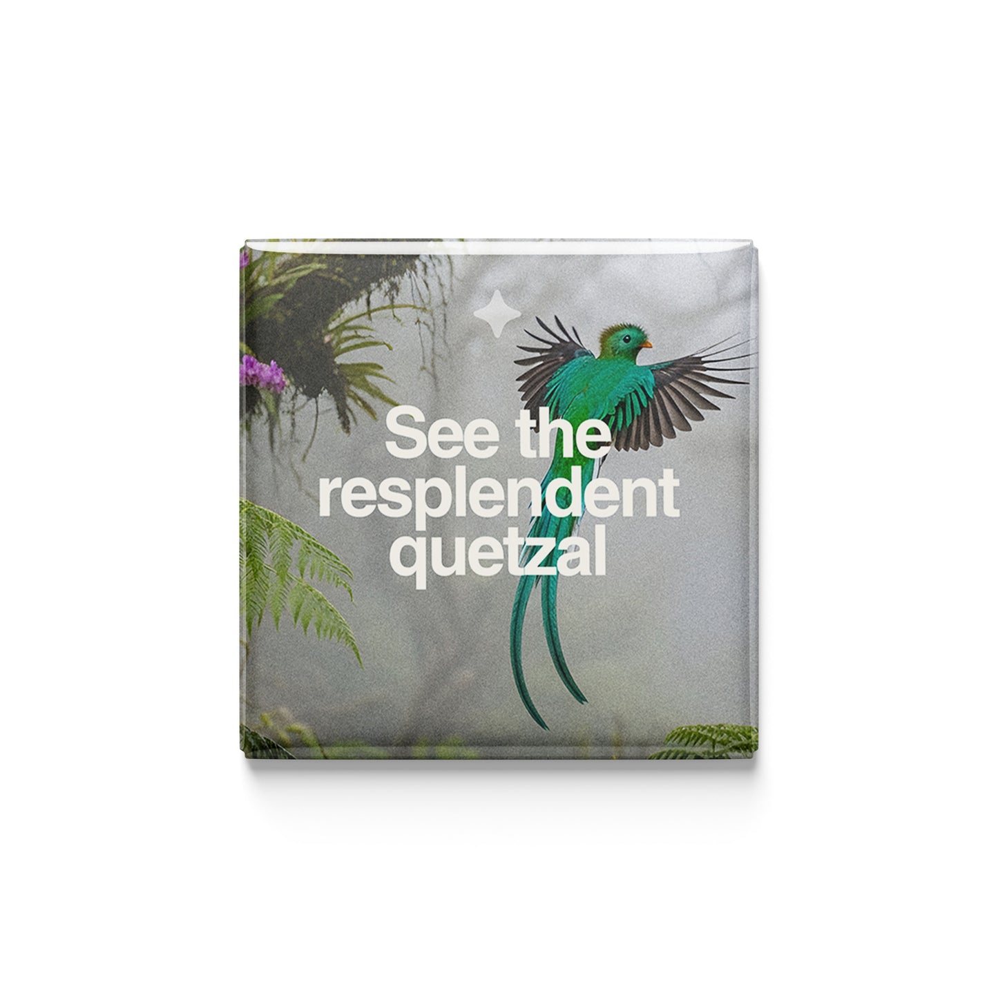 See the Resplendent Quetzal Magnet