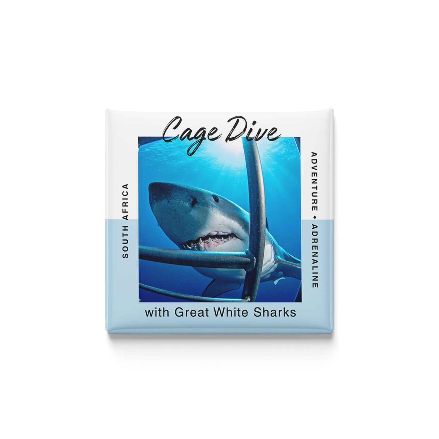 The Wild Ones | Set of 25