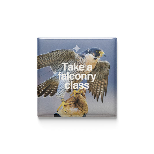 Take a Falconry Class Magnet