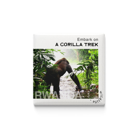 Gorilla Trek in Rwanda Magnet