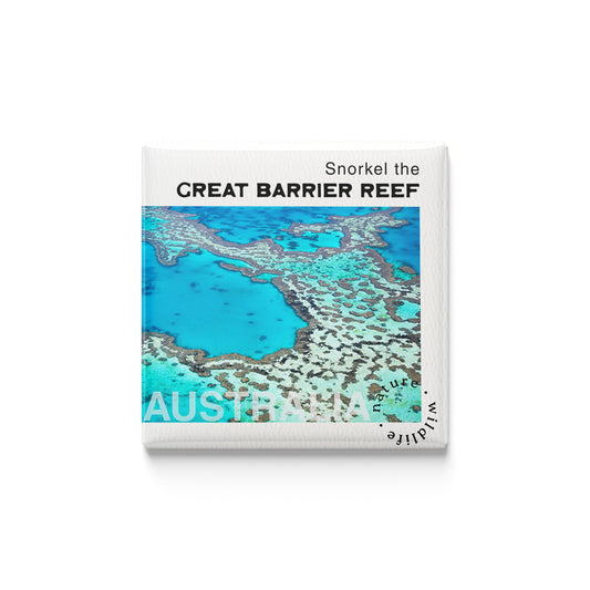 Snorkel the Great Barrier Reef Magnet