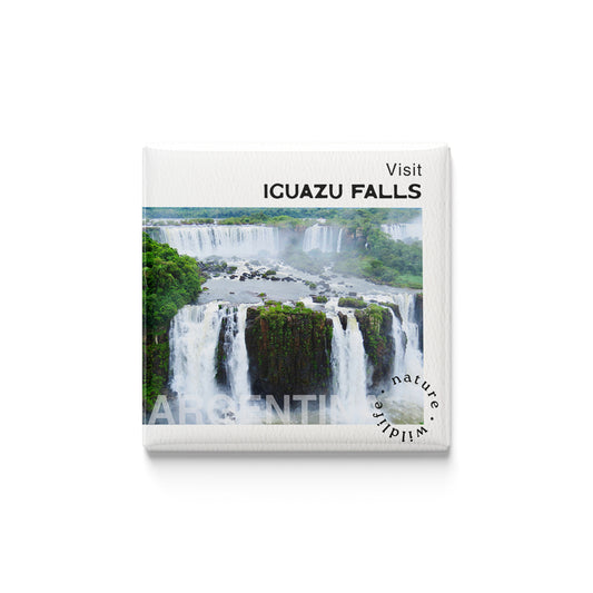 Iguazu Falls Magnet