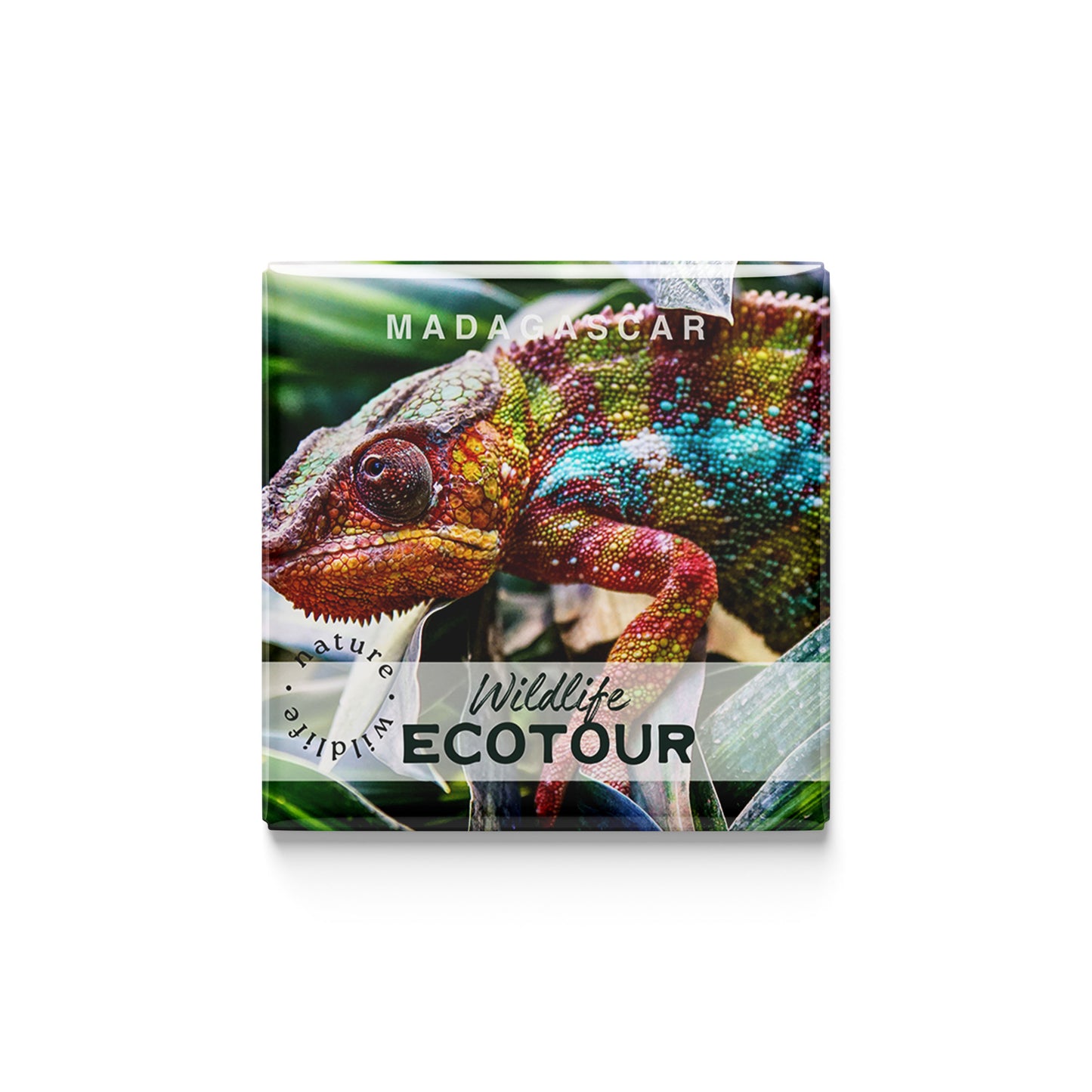 The Wild Ones | Set of 25