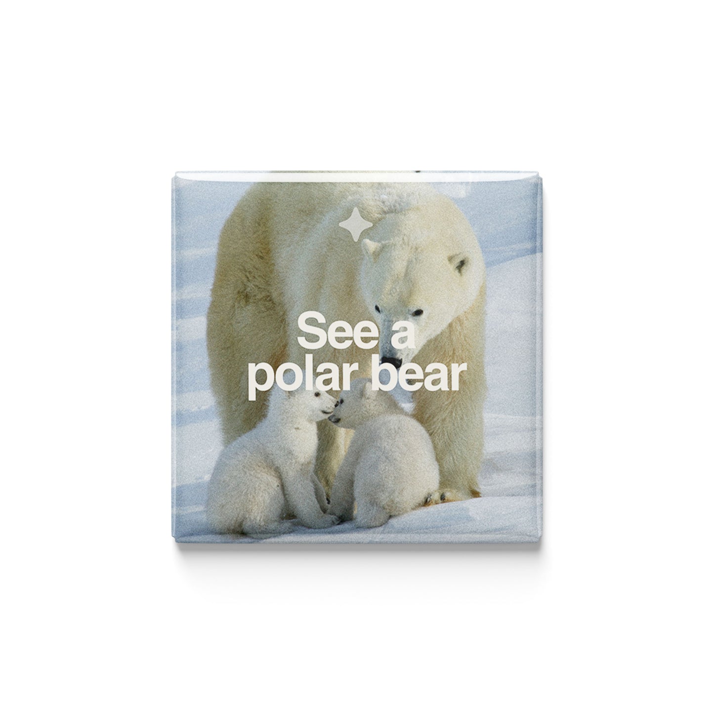The Conservationist | Set of 16