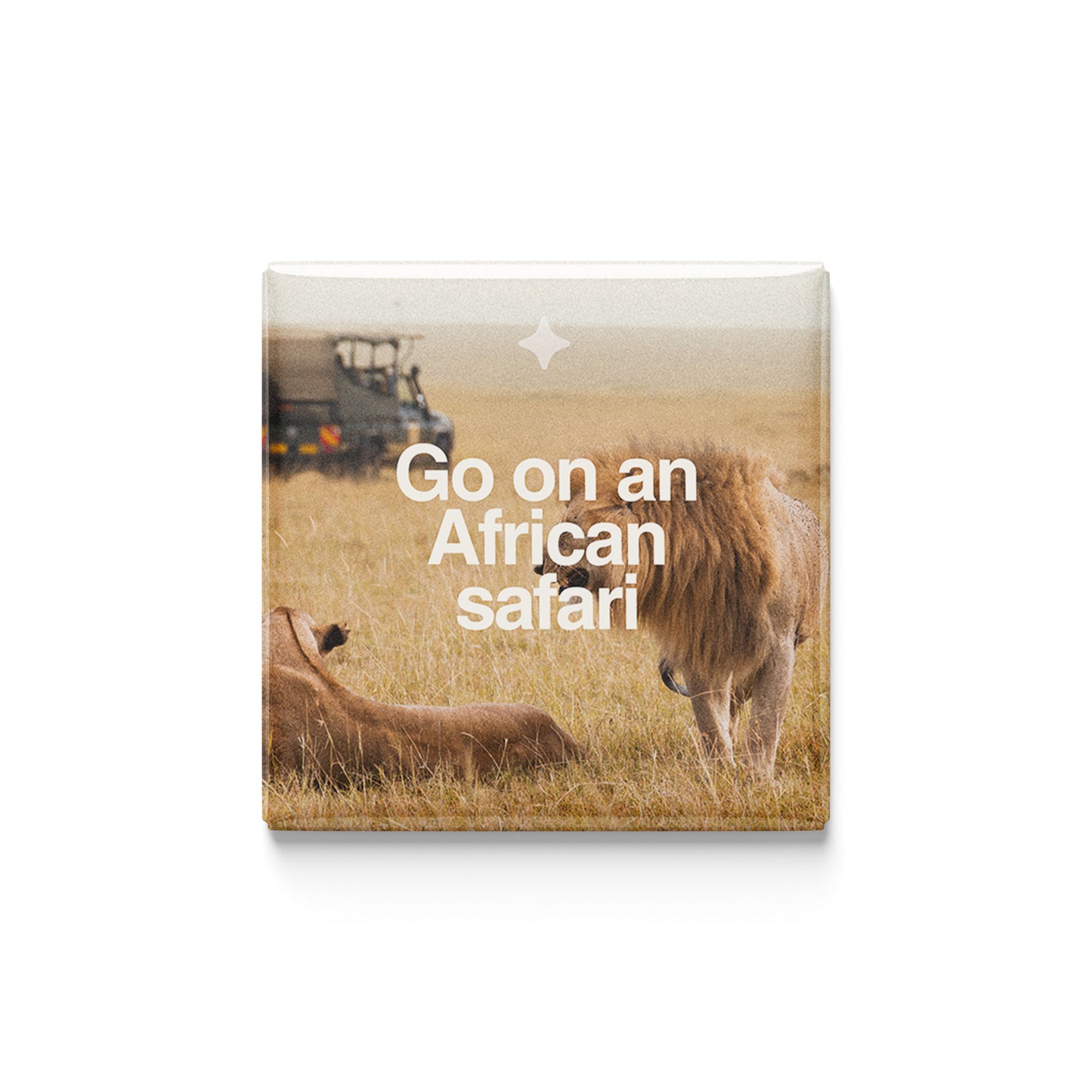 The Wild Ones | Set of 25
