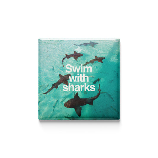 Swim with Sharks Magnet