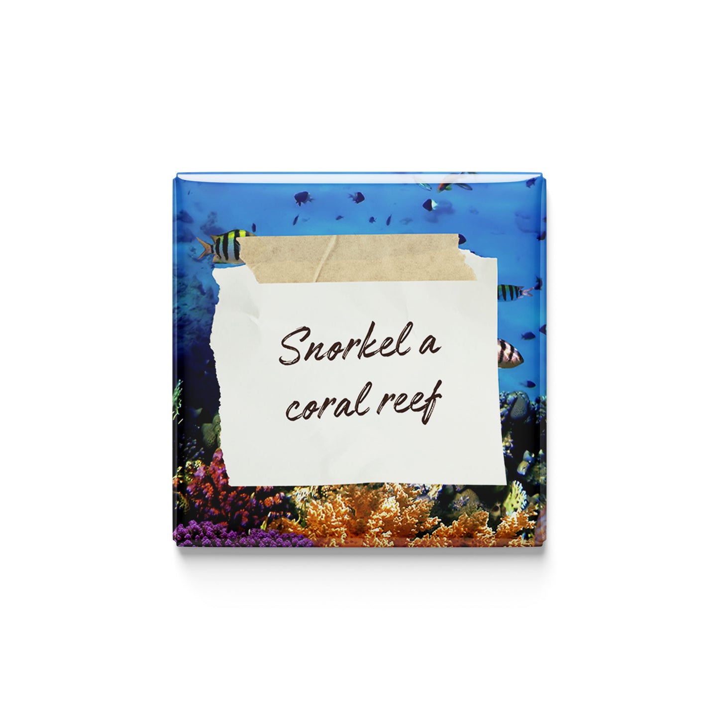 The Bucket List Beginner | Set of 9
